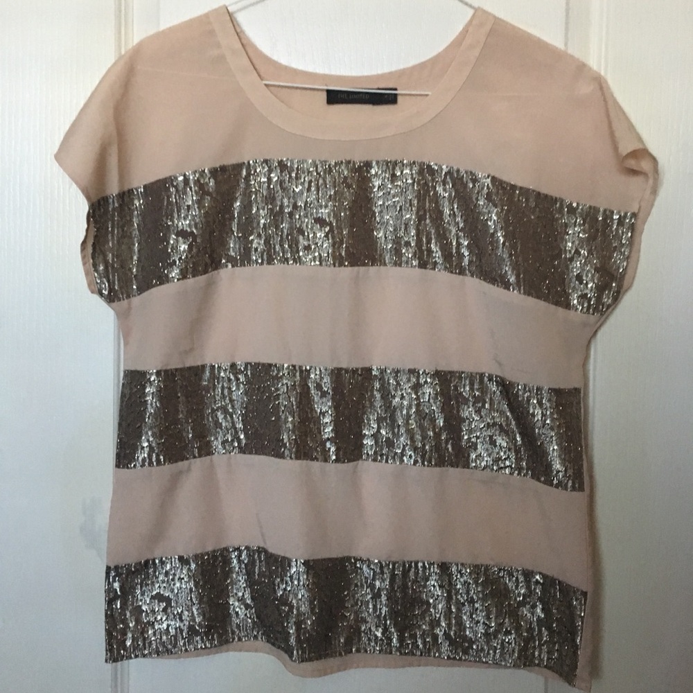 Festive nude and silver stripe blouse